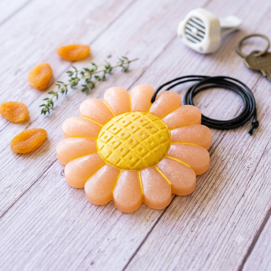Orange and Yellow Daisy Freshie