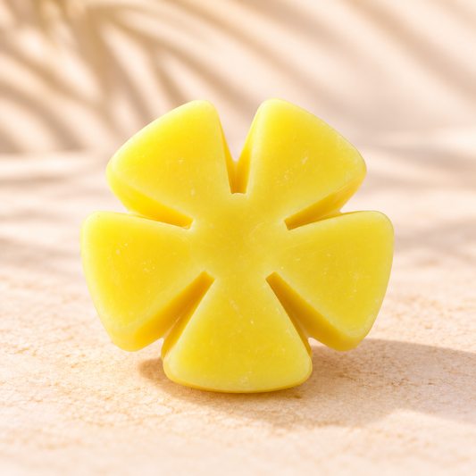 Sunny Beaches 6 petal blossom wax melt